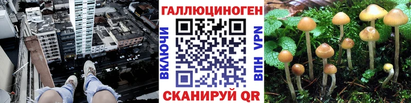 Псилоцибиновые грибы Magic Shrooms Тарко-Сале
